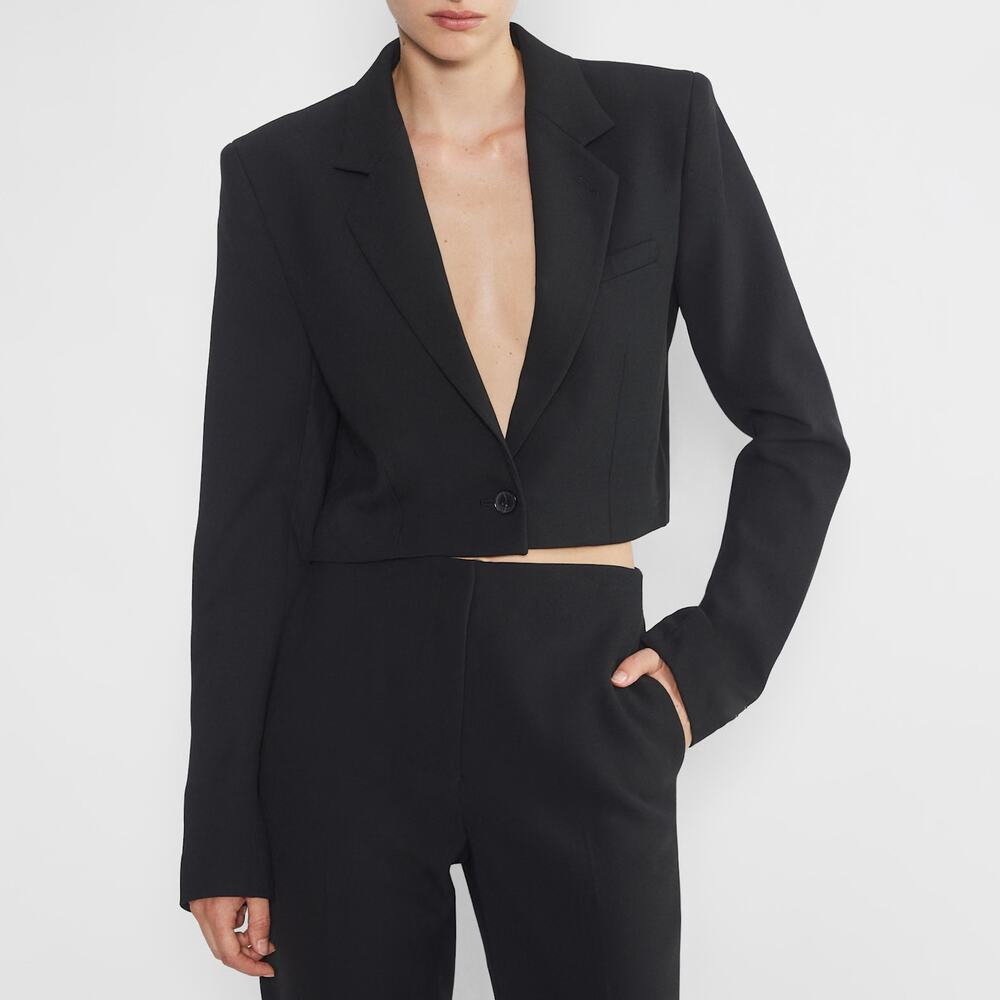 Babaton Arbus Blazer Black Cropped Aritzia Dark Academia Corporate Goth SZ 2